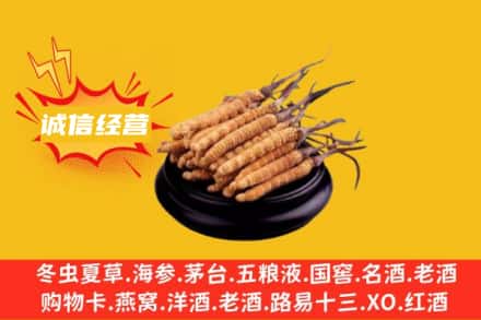 遂宁市蓬溪回收冬虫夏草
